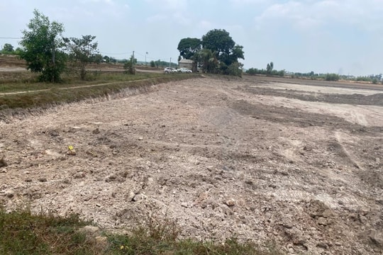 Nhóm đối tượng chuyên khai thác đất ruộng trái phép