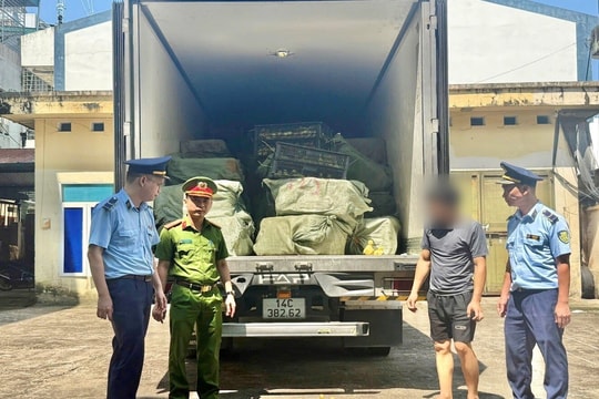 Bắt xe tải chở 24.000 con vịt giống, 2,5 tấn thực phẩm không rõ nguồn gốc