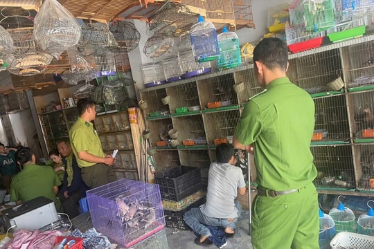 Phát hiện nhiều cơ sở nuôi nhốt động vật hoang dã trái phép