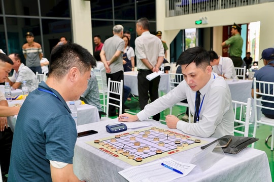 Hấp dẫn những màn đấu trí tại Giải Cờ tướng Hải Phòng 2026