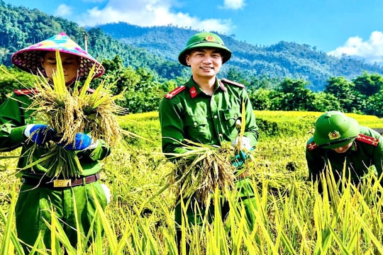 Công an xuống đồng giúp dân cứu lúa sau dông lốc