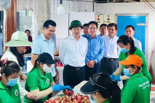 Cù Lao Dung cần phát huy lợi thế sinh thái để tạo đột phá phát triển
