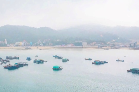 4 ngư dân mất tích trên vùng biển Cô Tô được đưa vào bờ an toàn