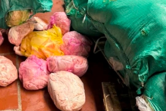 Thu giữ hơn 14 tấn bì lợn không rõ nguồn gốc