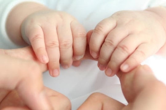 Hải Phòng: Tăng cường quản lý, ngăn ngừa vi phạm trong lĩnh vực nuôi con nuôi quốc tế