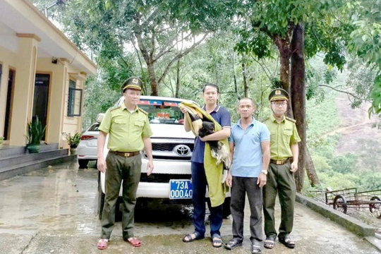 Bảo vệ thiên nhiên từ những việc gần dân
