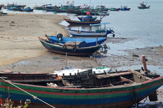 Vươn khơi có điểm tựa