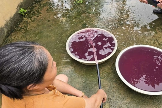 Công ty TNHH BOB Hà Nội - Chi nhánh 1 bị phạt hơn 1,5 tỷ đồng