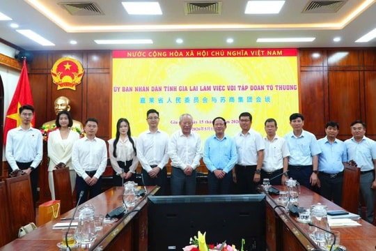 Chủ tịch tỉnh Gia Lai làm việc với Tập đoàn Tô Thương