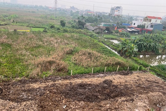 Hàng nghìn hồ sơ về đất đai trả quá hạn, Hải Phòng chỉ đạo xử lý trách nhiệm