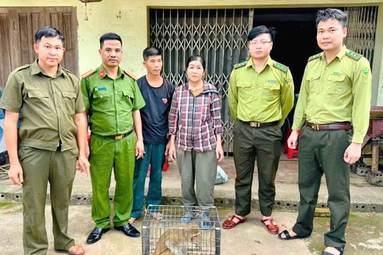Người dân liên tiếp giao nộp động vật hoang dã
