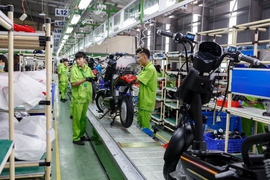 VCCI: Doanh nghiệp tư nhân đông nhưng chưa mạnh