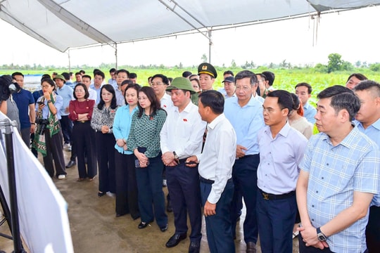 Phó Chủ tịch Quốc hội Nguyễn Hồng Diên làm việc với thành phố Hải Phòng