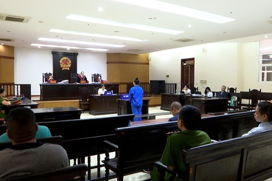 Y án chung thân nữ môi giới bất động sản chiếm đoạt hàng trăm tỷ đồng