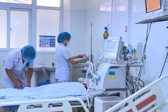 Bị rắn cắn khi đang ngủ, bé gái 5 tuổi nguy kịch