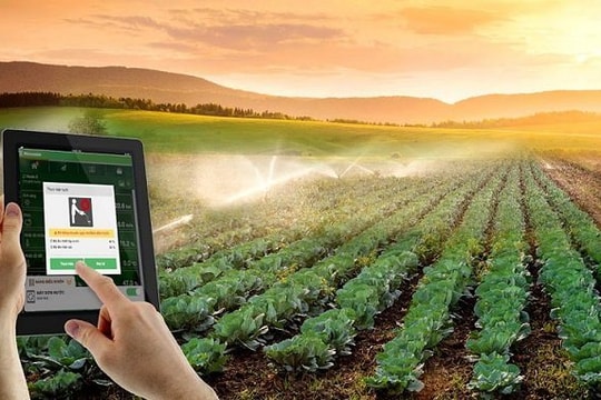 Hợp tác xã sẽ được hỗ trợ tối đa 100 triệu đồng mỗi năm để chuyển đổi số?