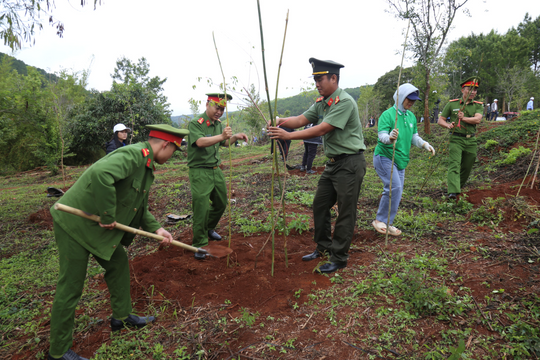Lâm Đồng tổ chức triển lãm, phát động Tết trồng cây nhớ ơn Bác Hồ