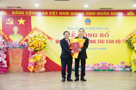 Đồng chí Trần Ngọc Sơn giữ chức Chánh án TAND tỉnh Hà Tĩnh
