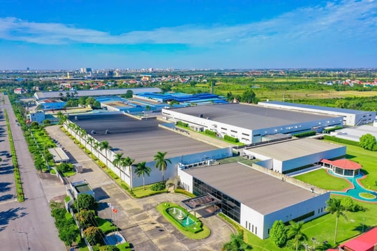 ROX Group - 3 thập kỷ tiên phong cùng giá trị Việt