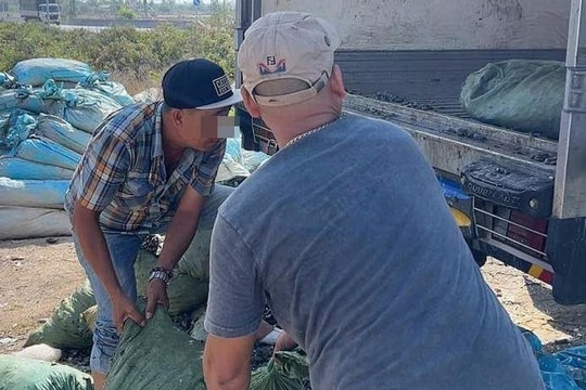 Tài xế đổ trộm sò, ốc chết ra môi trường