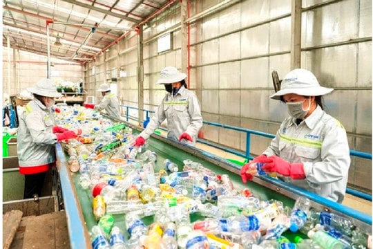 Nhiều doanh nghiệp sẵn sàng tái chế bao bì theo tỉ lệ bắt buộc