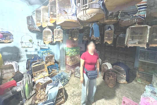 Khởi tố 2 đối tượng nuôi nhốt trái phép động vật hoang dã