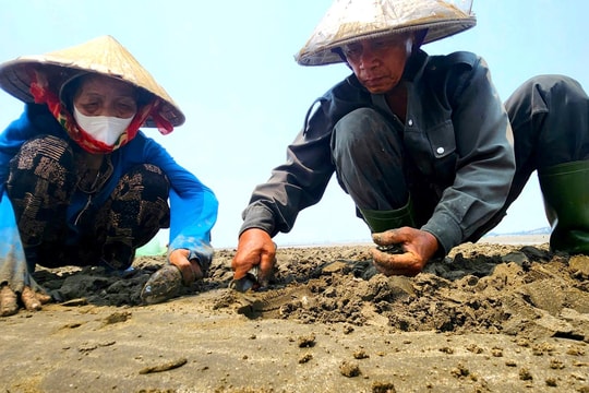 Đánh cược cùng con nước