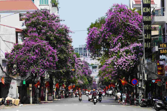 Thời tiết ngày 22/5: Miền Bắc và miền Trung nắng nóng gay gắt