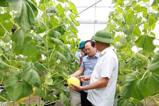 Thanh Hóa cần một “cú hích” mới cho nông nghiệp trong thời đại mới