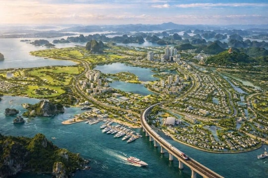 Quảng Ninh rà soát phục vụ giải phóng mặt bằng dự án đường sắt tốc độ cao