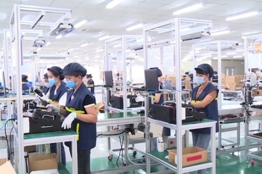 Chuyển đổi số: “Cuộc đua sinh tồn” của doanh nghiệp nhỏ và vừa
