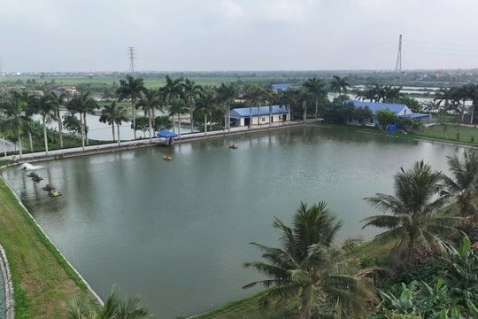 Hải Phòng khoanh vùng nguy hiểm, chủ động ứng phó mùa mưa bão 2026