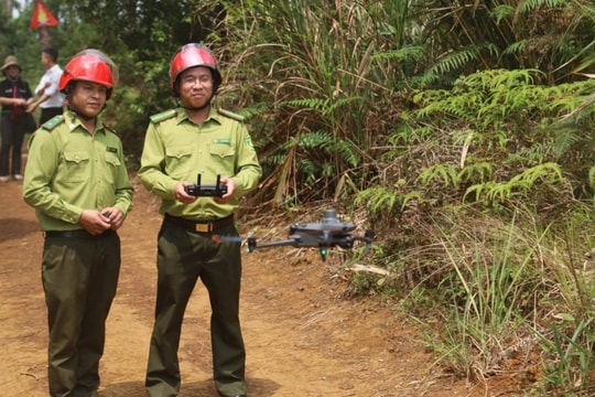 Ứng dụng flycam giữ rừng mùa khô ở Quảng Ngãi