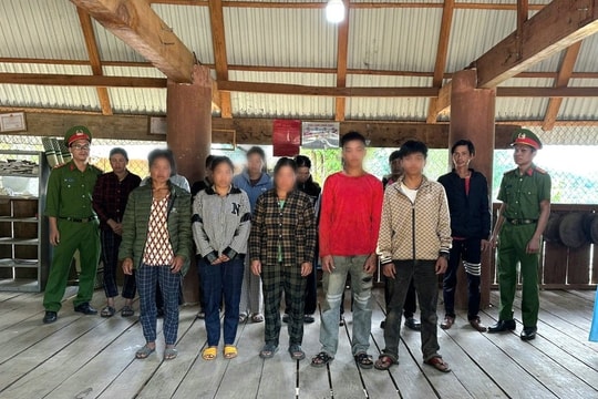 Khởi tố nhiều đối tượng trộm sâm Ngọc Linh