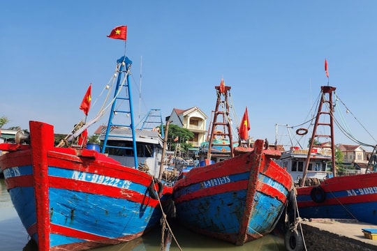 Nghệ An quyết tâm cùng cả nước sớm gỡ “thẻ vàng” thủy sản của EC
