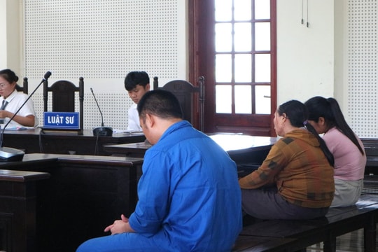 Trả giá vì chiêu trò lừa đưa người đi du học