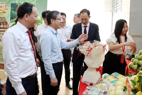 Bắc Ninh đẩy mạnh xúc tiến tiêu thụ vải thiều và các sản phẩm nông sản chủ lực