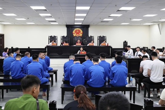 Phạt tù nhóm giả danh “Huấn Hoa Hồng” cho vay tiền để lừa đảo, buôn bán thận