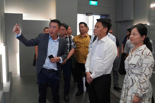 Hải Phòng chấp thuận đầu tư 3 dự án FDI, tổng vốn hơn 279 triệu USD