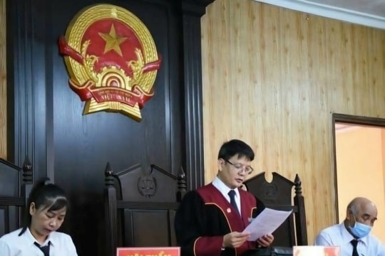 Dùng hóa chất cấm sản xuất giá đỗ, hai chủ cơ sở lĩnh án tù