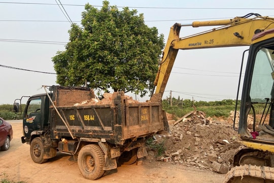 Khởi tố đối tượng đổ thải vật liệu xây dựng trái phép