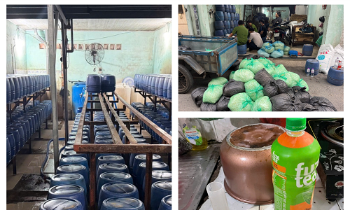Sản xuất hơn 1.000 tấn giá đỗ có sử dụng chất cấm
