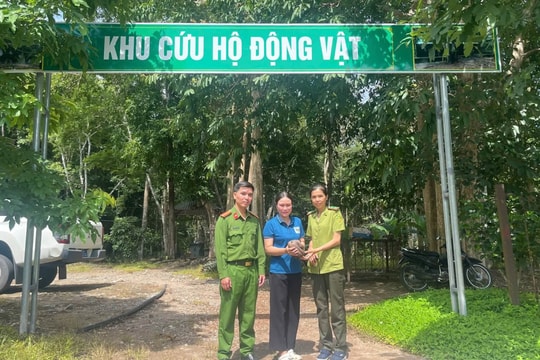 Tiếp nhận cá thể tê tê quý hiếm từ người dân