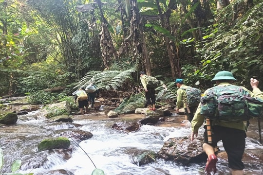 Bảo đảm an toàn môi trường và xã hội: Chìa khóa cho phát triển rừng bền vững