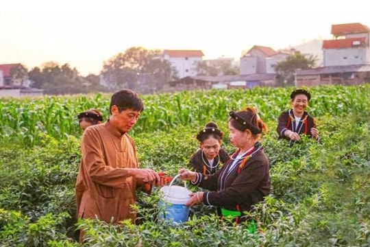 Đạo Trù - Phú Thọ sau sáp nhập: Bứt phá để vươn lên
