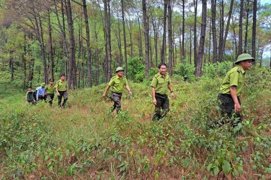 Kiểm lâm Huế và hành trình bảo vệ “lá phổi xanh”