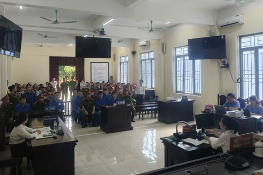 Nhận hối lộ để giúp doanh nghiệp nhận tiền hỗ trợ trong dự án phát triển chè