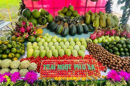 Quả ngọt bên dòng hạ lưu sông Tiền