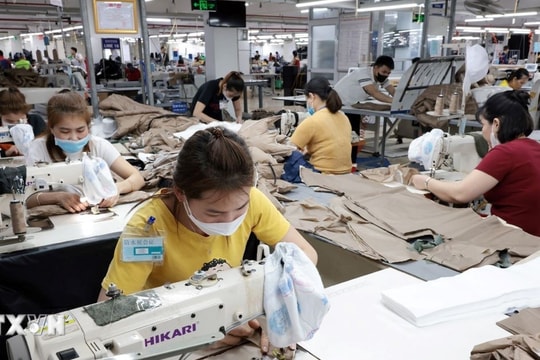 Phó Chủ tịch nước dự Lễ phát động phong trào thi đua Lao động giỏi