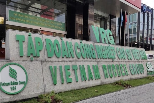 Vì sao Tập đoàn Cao su Việt Nam vẫn giữ tư cách đại chúng dù chưa đạt chuẩn?